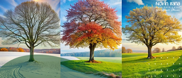 زمان مناسب برای کاشت مو